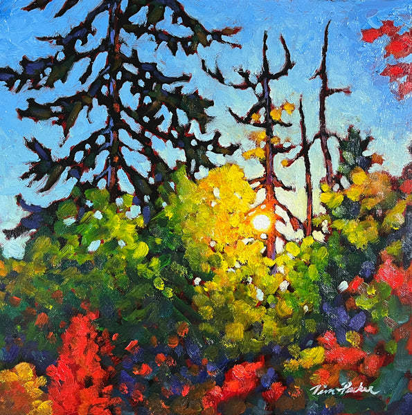 *ORIGINAL OIL* Autumn Pines 10" by 10"
