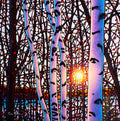 Morning Glow, Lake Baptiste -  Available at 8" by 8", 12" by 12" and 16" by 16"
